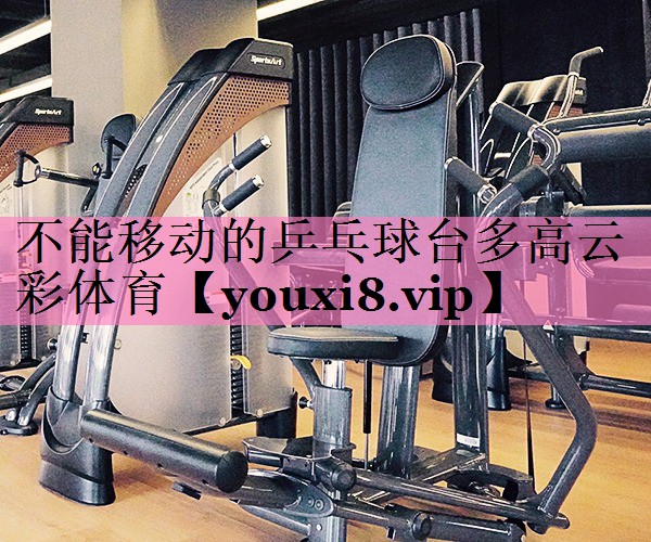 不能移动的乒乓球台多高云彩体育
