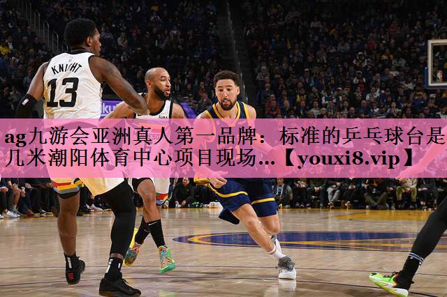 ag九游会亚洲真人第一品牌:标准的乒乓球台是几米潮阳体育中心项目现场…